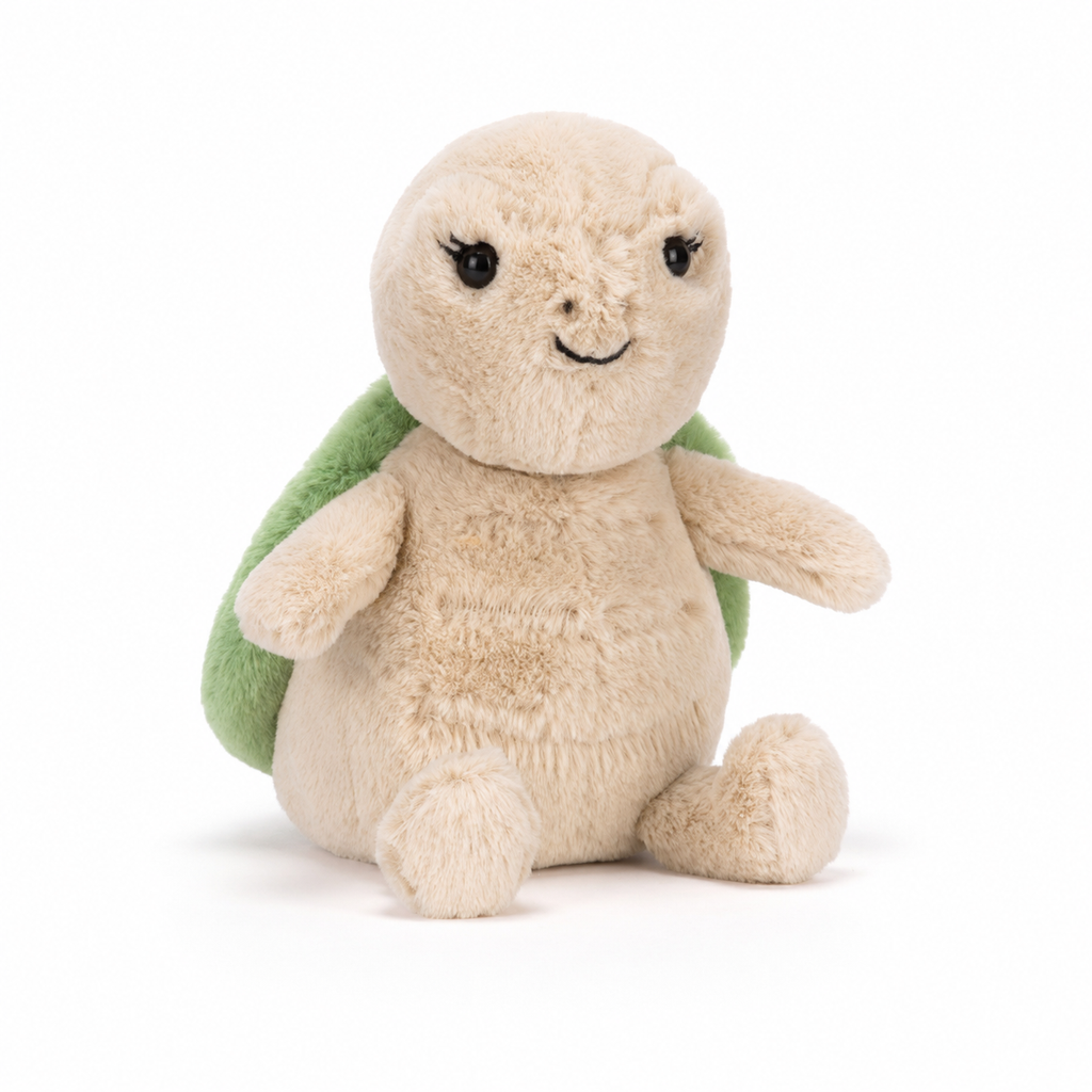 Thimble turtle