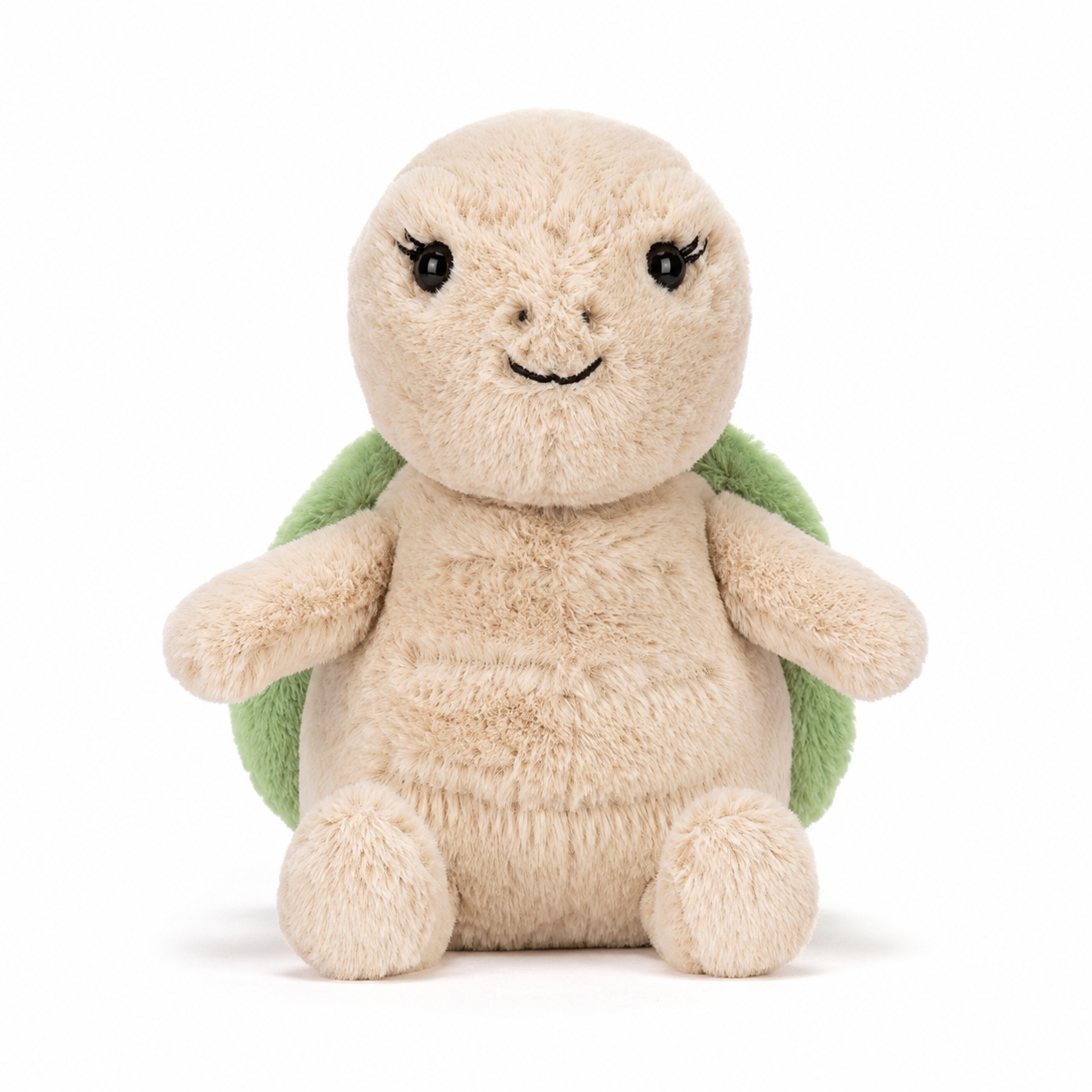 Thimble turtle