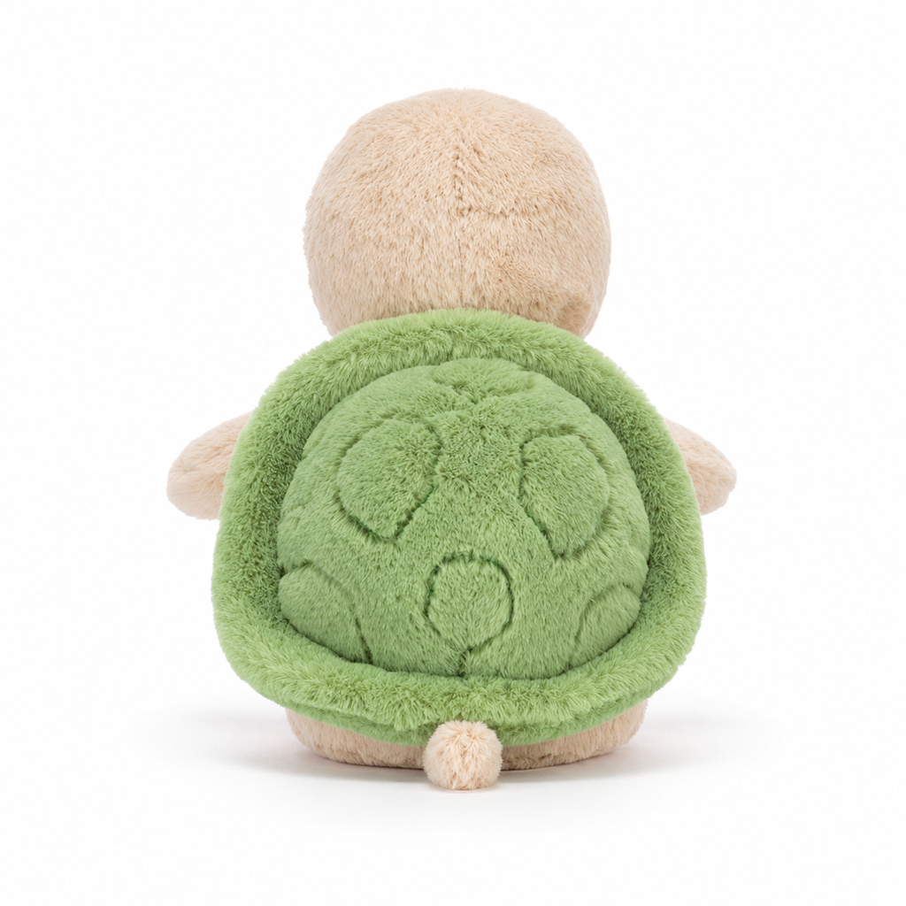 Thimble turtle