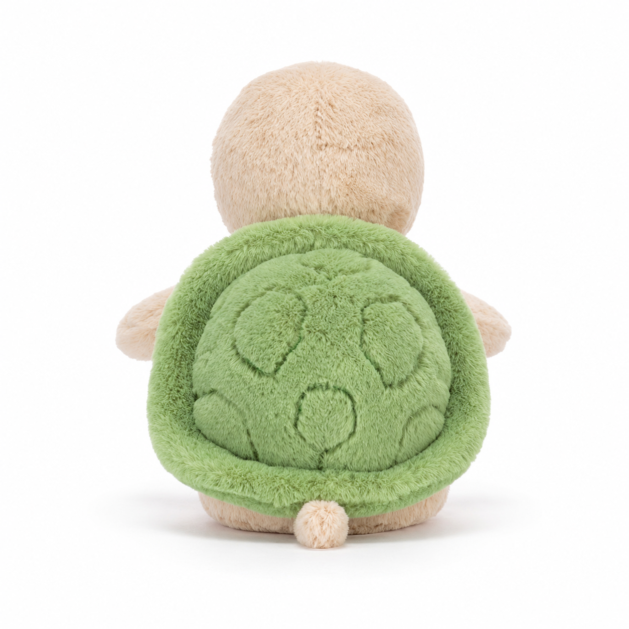 Thimble turtle