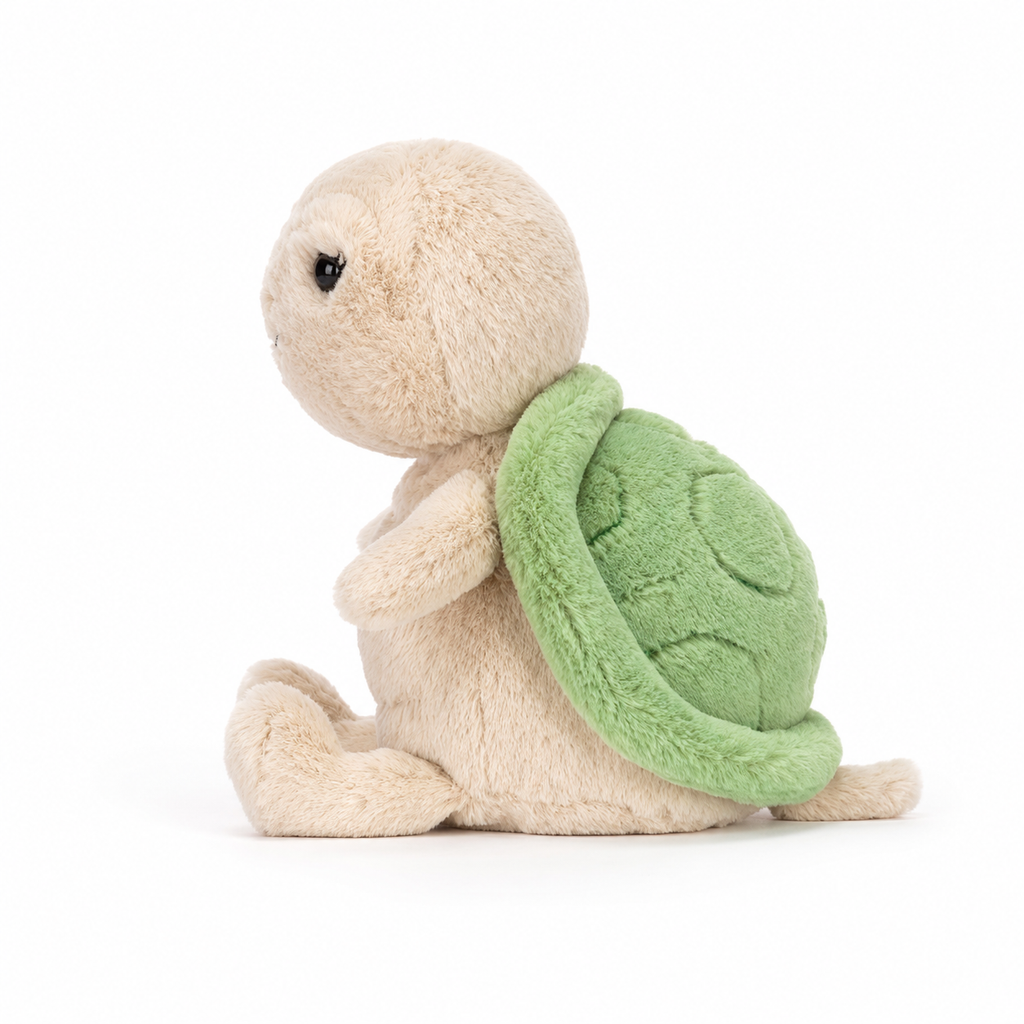 Thimble turtle