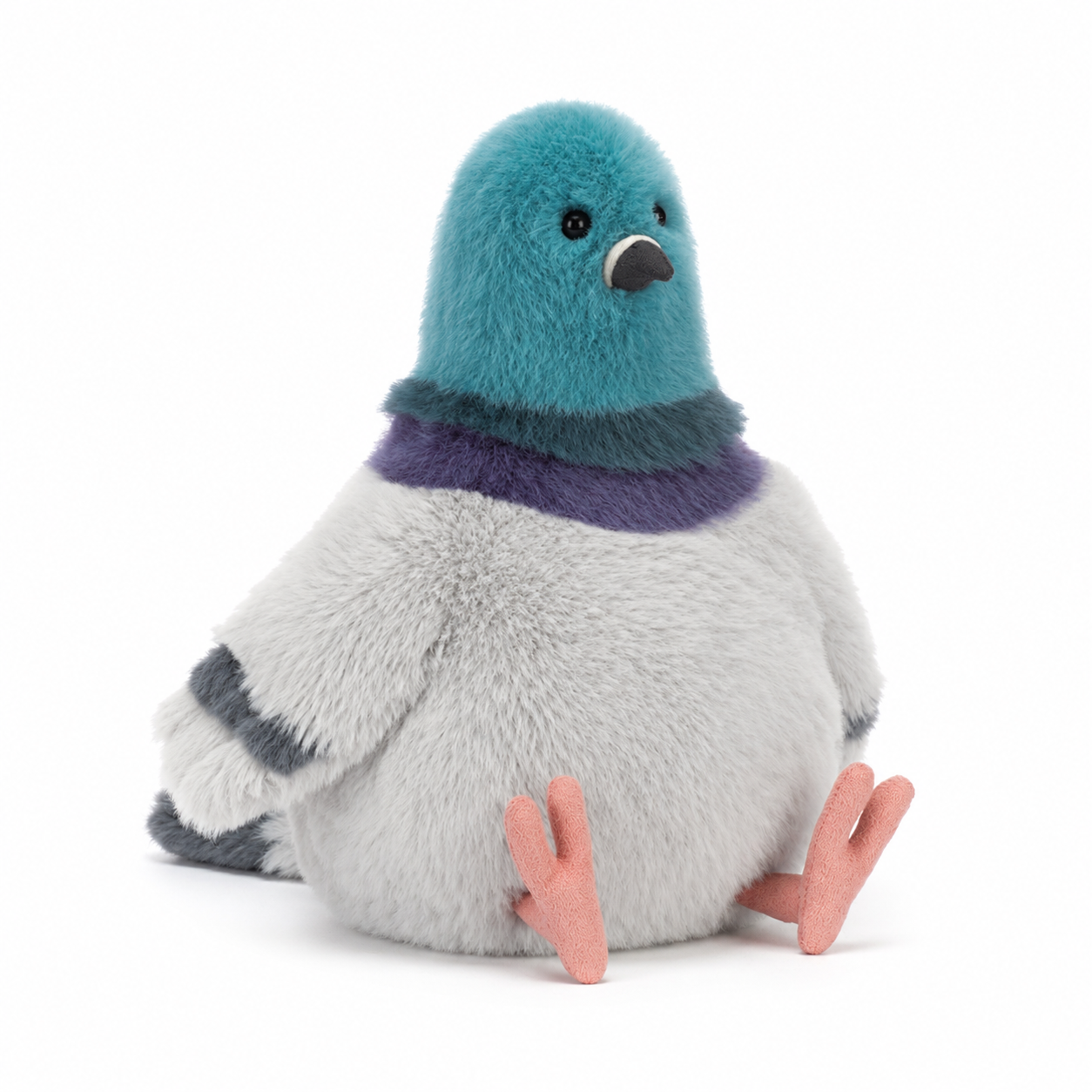 Strutton Pigeon